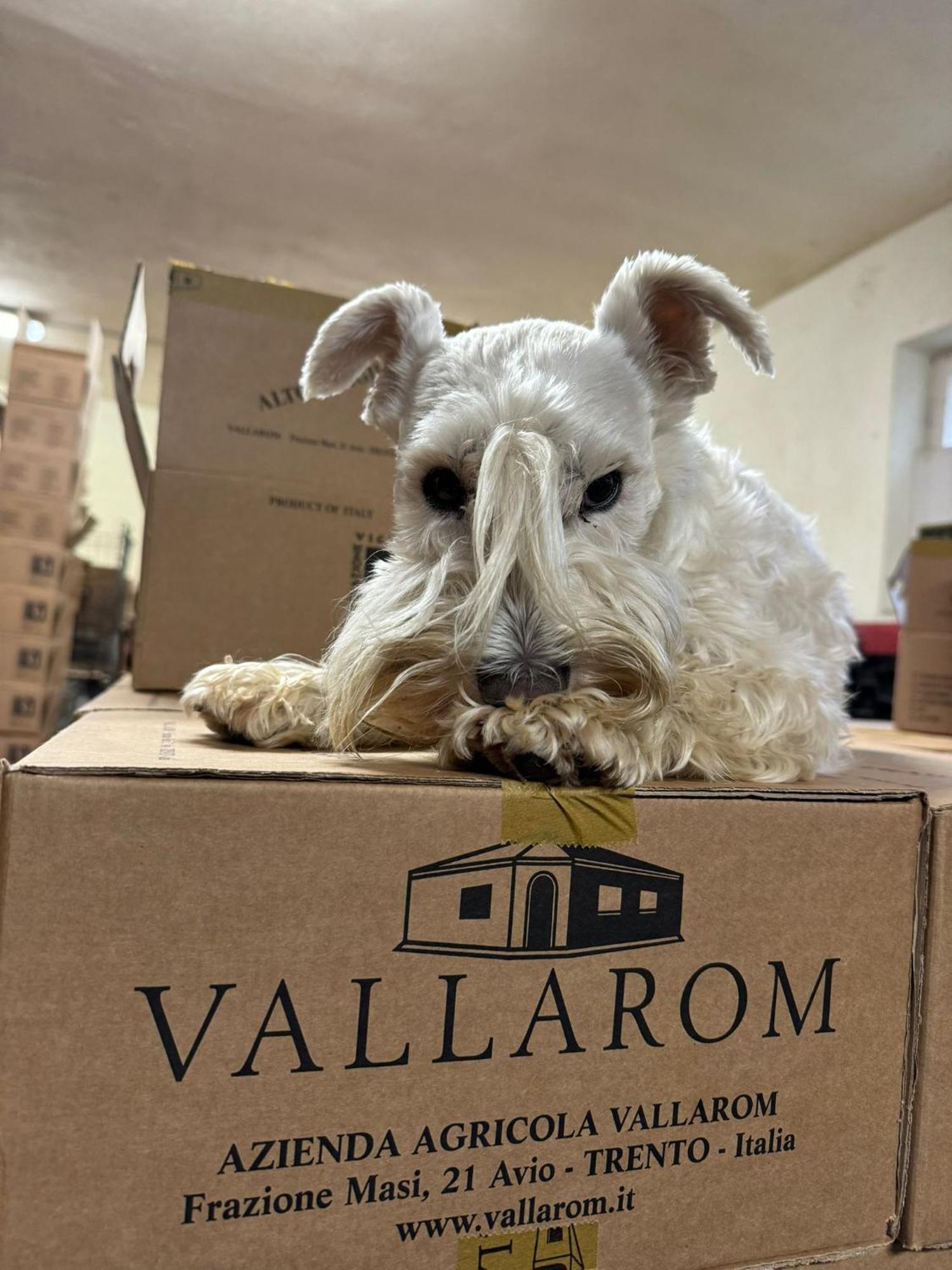 Vallarom Avio Eksteriør billede